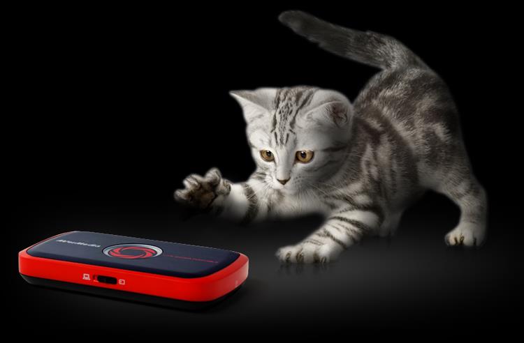 Playful, yet Powerful. A kitty playing with LGP. Easy to use. H.264 hardware encoder. 